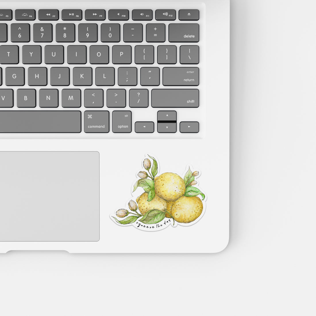 Squeeze The Day Lemon Sticker