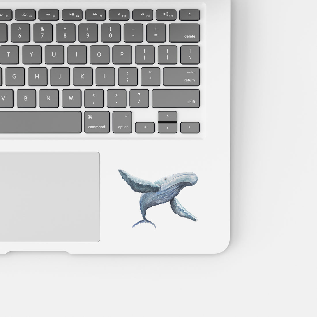 Heart of a Whale Sticker