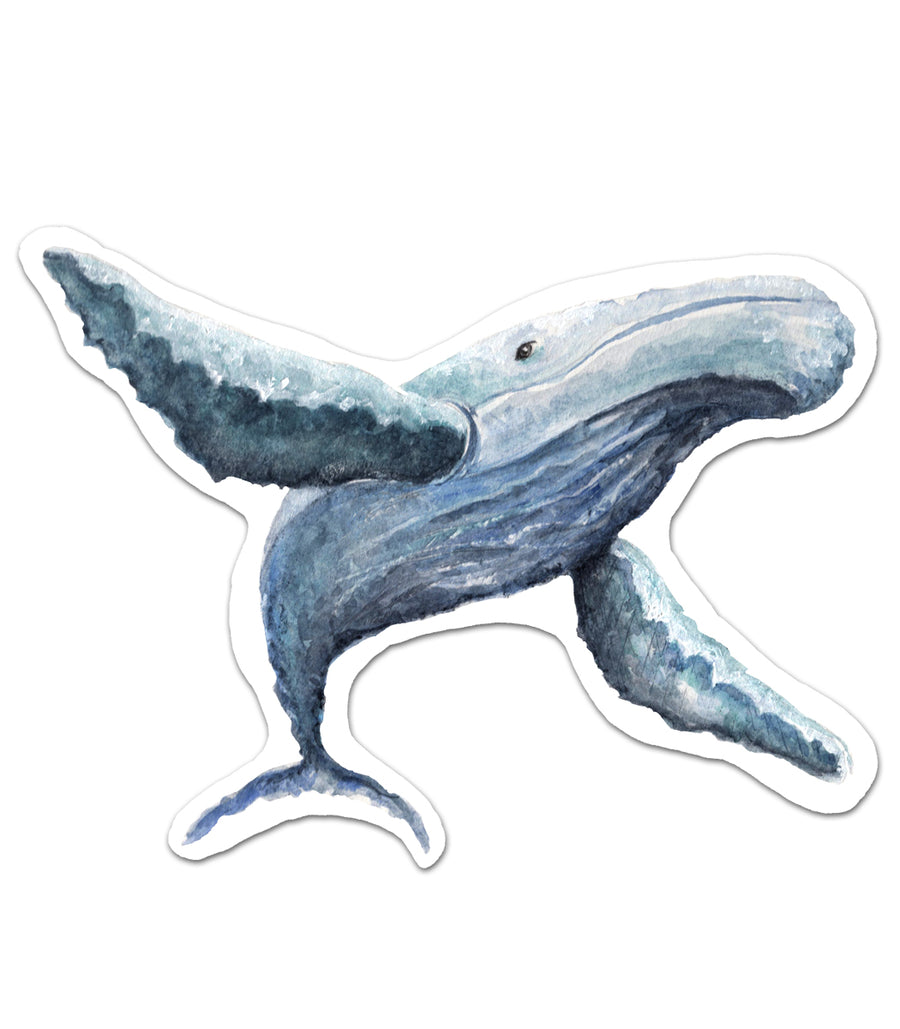 Heart of a Whale Sticker