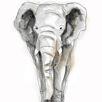 Elephant Days Print